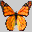Butterfly Hunt Icon