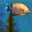 Fish Aquarium 3D Screensaver Icon