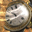 The Lost Watch 3D Screensaver Icon