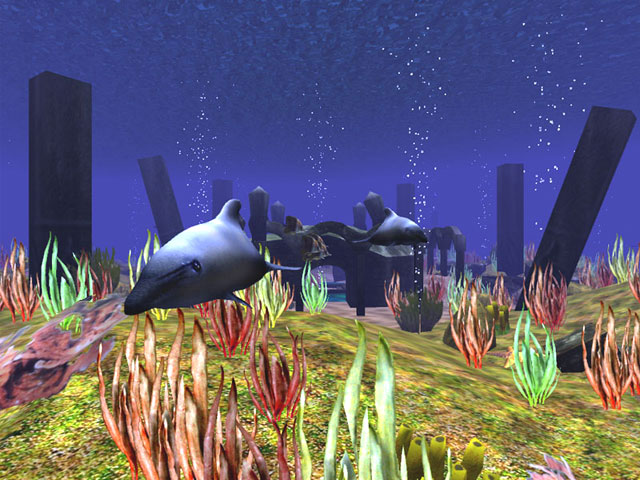 3D Wild Dolphin Screensaver Screenshot