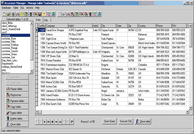 Accuracer Database System Screenshot