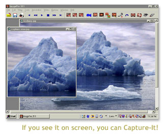 Capture-It! Screenshot