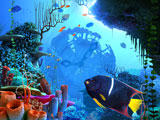 Coral Clock 3D Photo Screensaver Screenshot