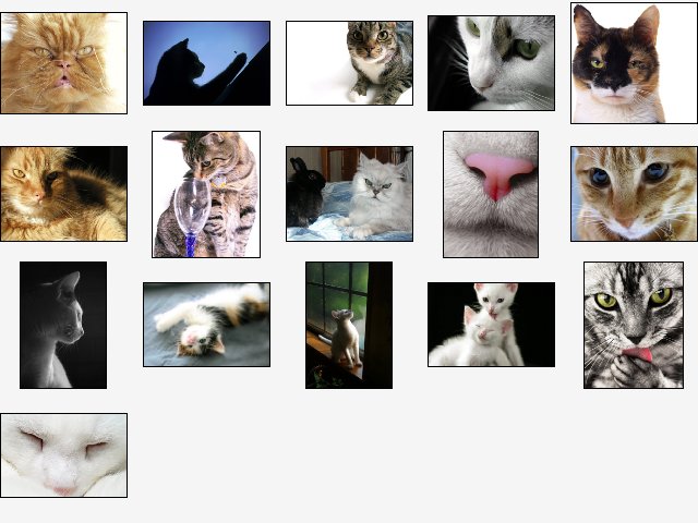Cute Kitties Screensaver Screenshot