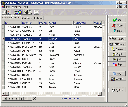 Database Manager Screenshot