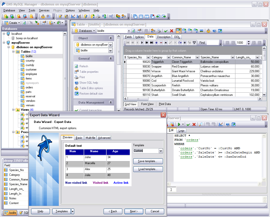 EMS SQL Manager 2005 Lite for MySQL Screenshot