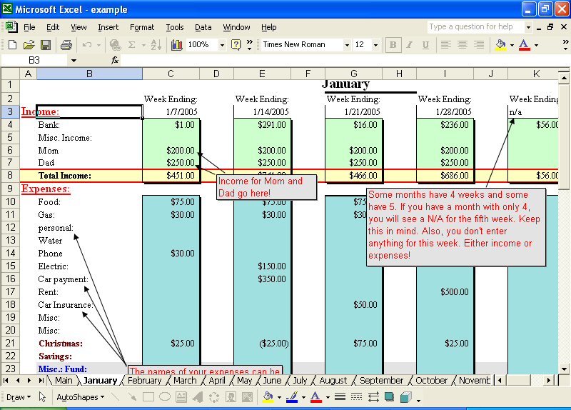 Family Home Budget 2007 Screenshot