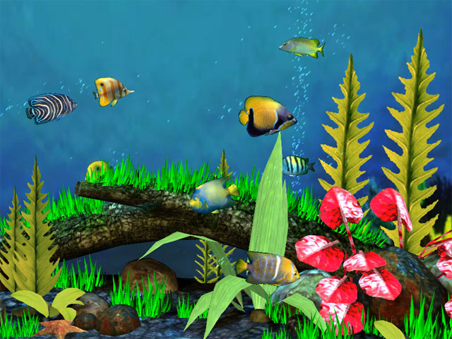Sreenshot Fish Aquarium 3D Screensaver 1.3 | Aqua - Fish - Aquarium