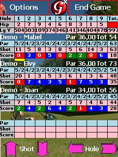 Golfer Screenshot