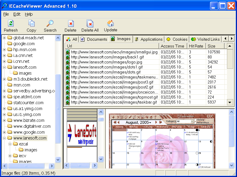 IECacheViewer Screenshot