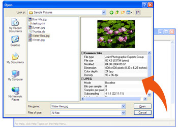 Image Open Save Dialog Screenshot
