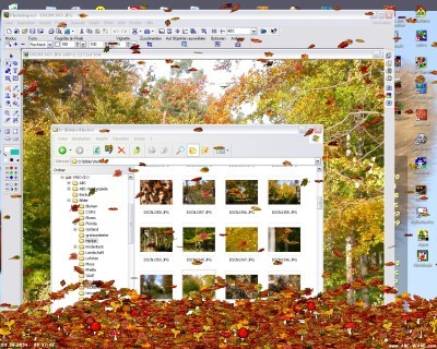 Leaves Screensaver Screenshot
