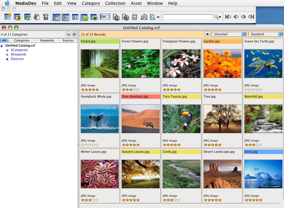 MediaDex Standard (Mac) Screenshot