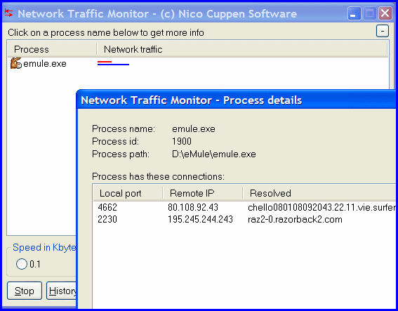 Network Traffic Monitor Screenshot