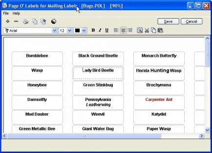 Page Of Labels for Mailing Labels Screenshot