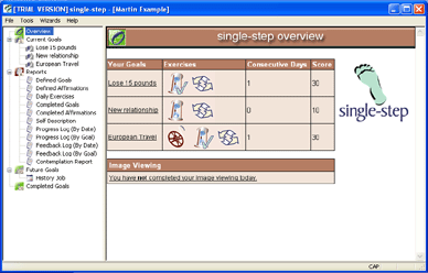 single-step goal-setting software Screenshot