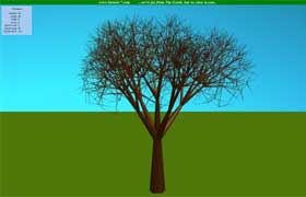Tree screensaver Screenshot