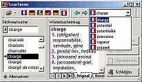 TrueTerm Thesaurus PC Screenshot