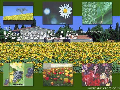 Vegetable Life Screensaver Screenshot