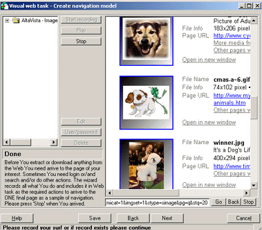 Visual Web Task Screenshot