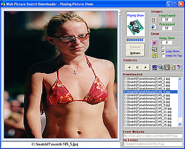 Web Snatch Internet Picture Ripper Screenshot