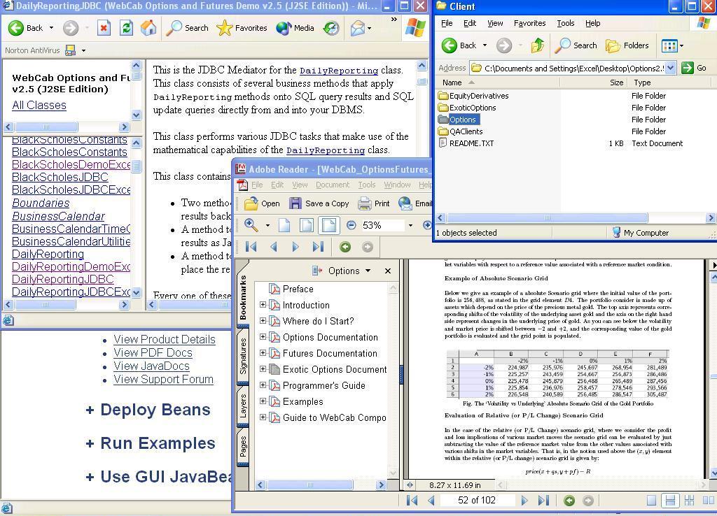 WebCab Options (J2SE Edition) Screenshot