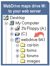 WebDrive Screenshot