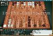 Backgammon Lite Screenshot