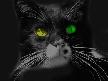 Beware the Black Cat Screensaver Thumbnail
