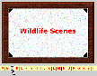 Frame-It Screenshot