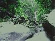 SS Jungle Waterfall -Animated Desktop Screensaver Thumbnail