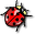 Bugs Images Collection Icon
