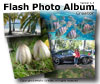 Flash Photo Album Creator Icon