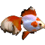 Goldfish Aquarium Icon