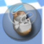 Hamsterball Gold Icon
