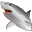 Shark Water World 3D Screensaver Icon
