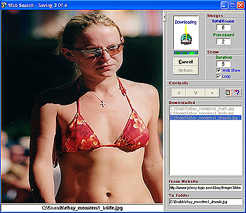A Picture Snatch Internet Program Screenshot