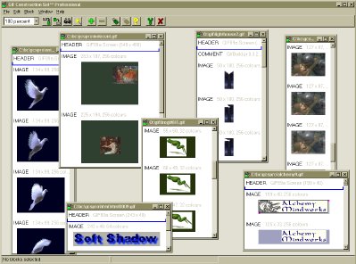 AMI GIF Construction Set Pro Screenshot