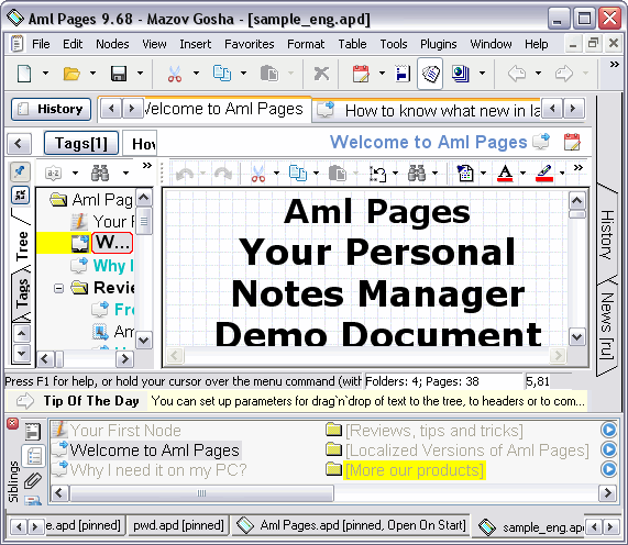 Aml Pages Screenshot