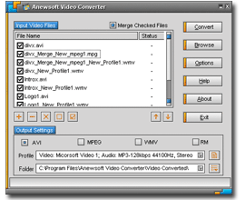 Anewsoft Video Converter Screenshot