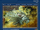 Aquarium Fish Screenshot