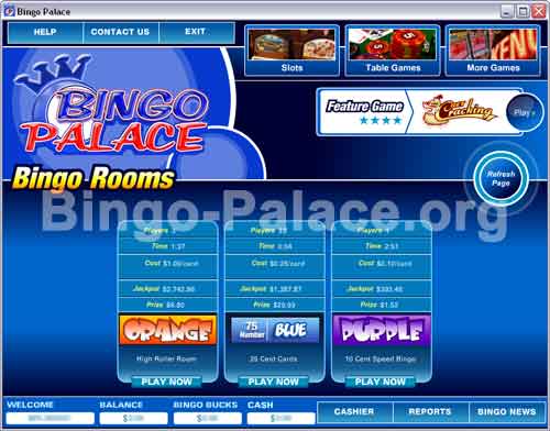 Bingo Palace Screenshot
