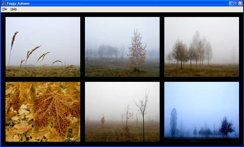 Bizimg Foggy Autumn Screenshot