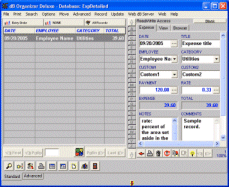 Business Expense Organizer Screenshot