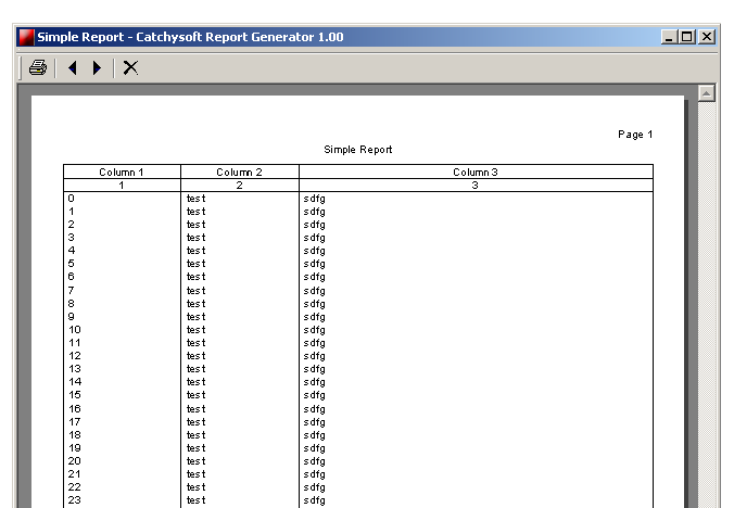 Catchysoft Report Generator Pro Screenshot