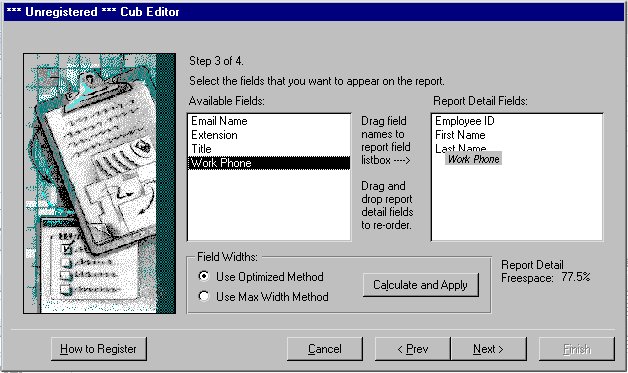 Cub Editor for MS Access Screenshot