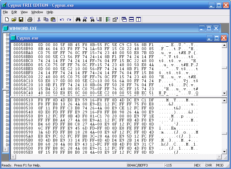 Cygnus Hex Editor FREE EDITION Screenshot