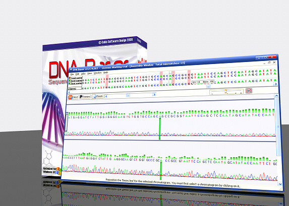 DNA BASER Screenshot
