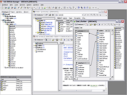 EMS SQL Manager for DBISAM Screenshot