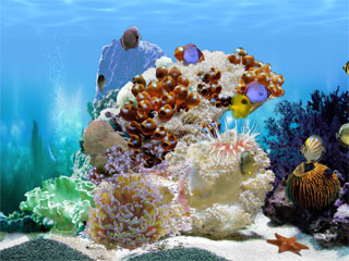 FP :: Amazing 3D Aquarium ADD-on  :: Chaetodont II - Fish Pack Screenshot